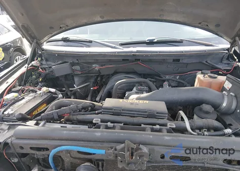 2010 Ford F-150 Fx2 Sport/Xl/Xlt z USA, uszkodzony, nr VIN 1FTEW1C89AFC53425